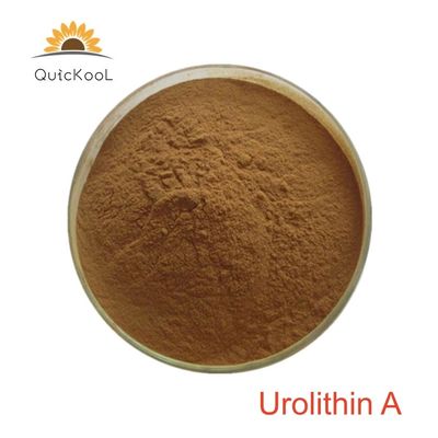 qualidade  Food Grade Anti-Aging Healthcare 98% 99% CAS 1143-70-0 Urolithin A Powder fábrica